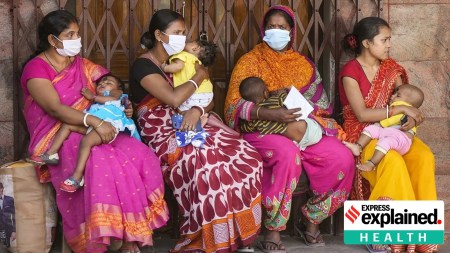 chandipura virus CHPV