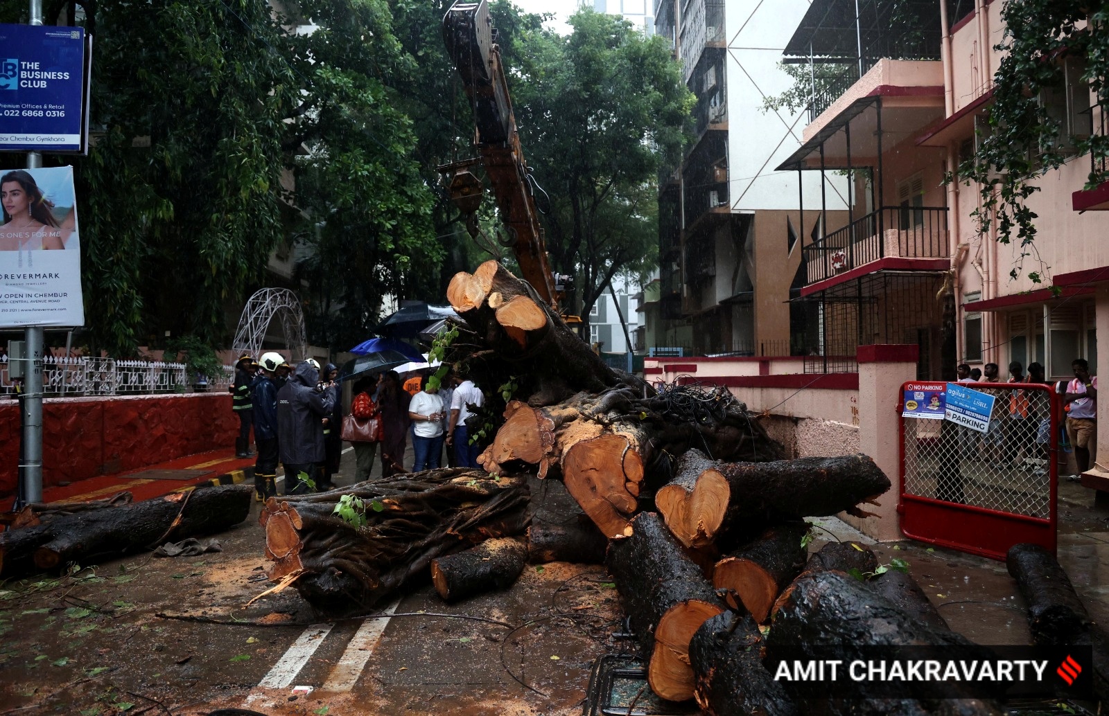 chembur bus tree fall