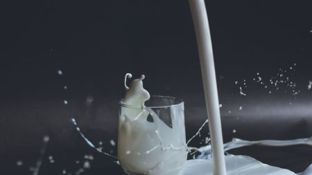 Congress panel wiped out as BJP front wins 15 of 16 seats in Amul's Surat-Tapi dairy