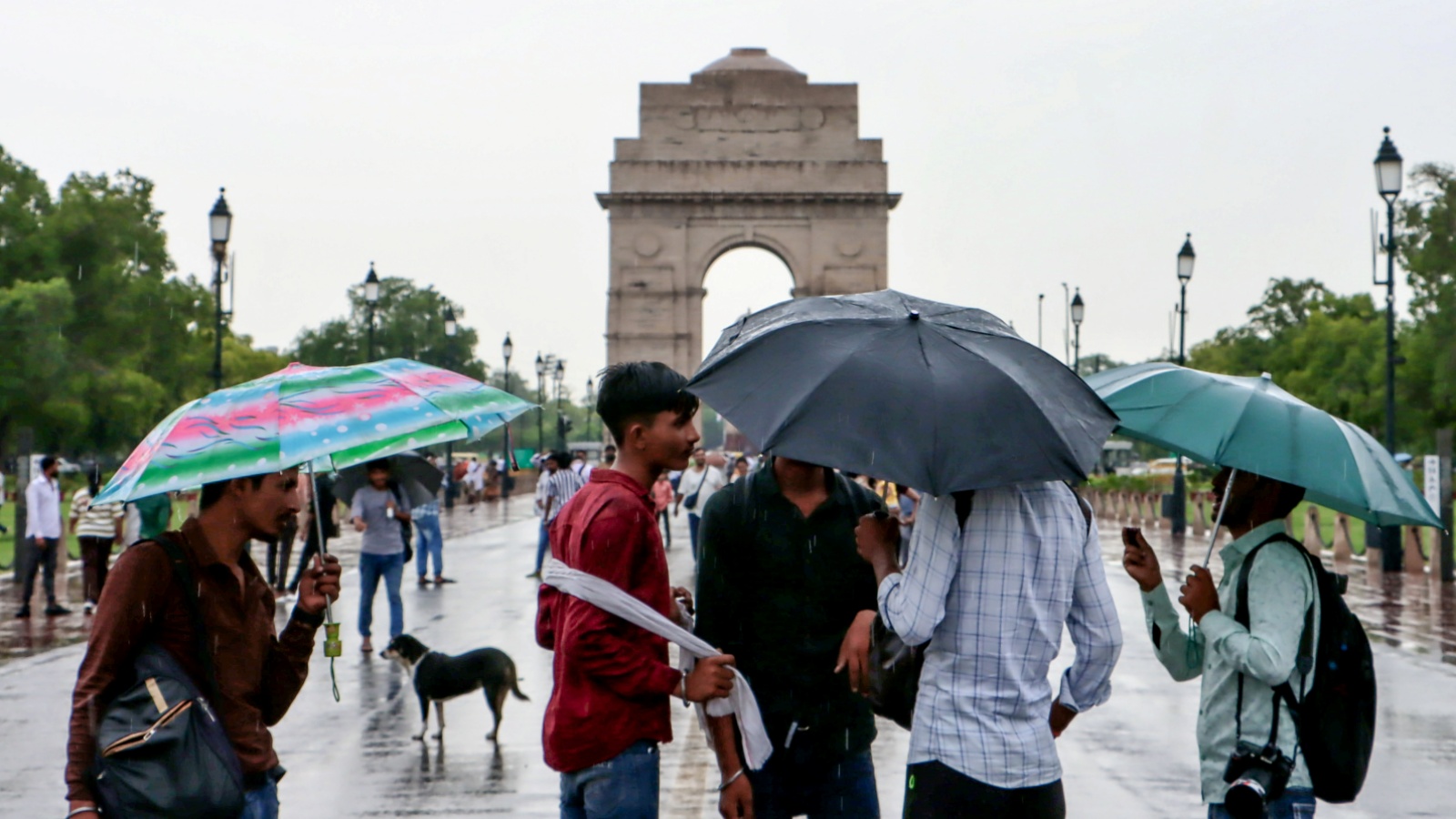 Monsoon arrives in Delhi, rain likely next week