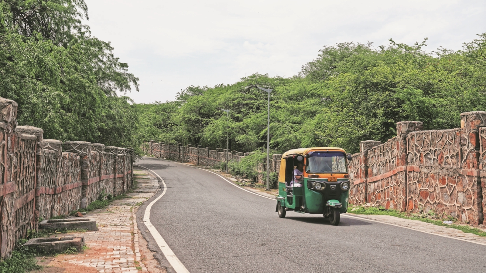 1,091 trees to be moved, felled: Delhi Government nod clears way for Sarojini Nagar housing project
