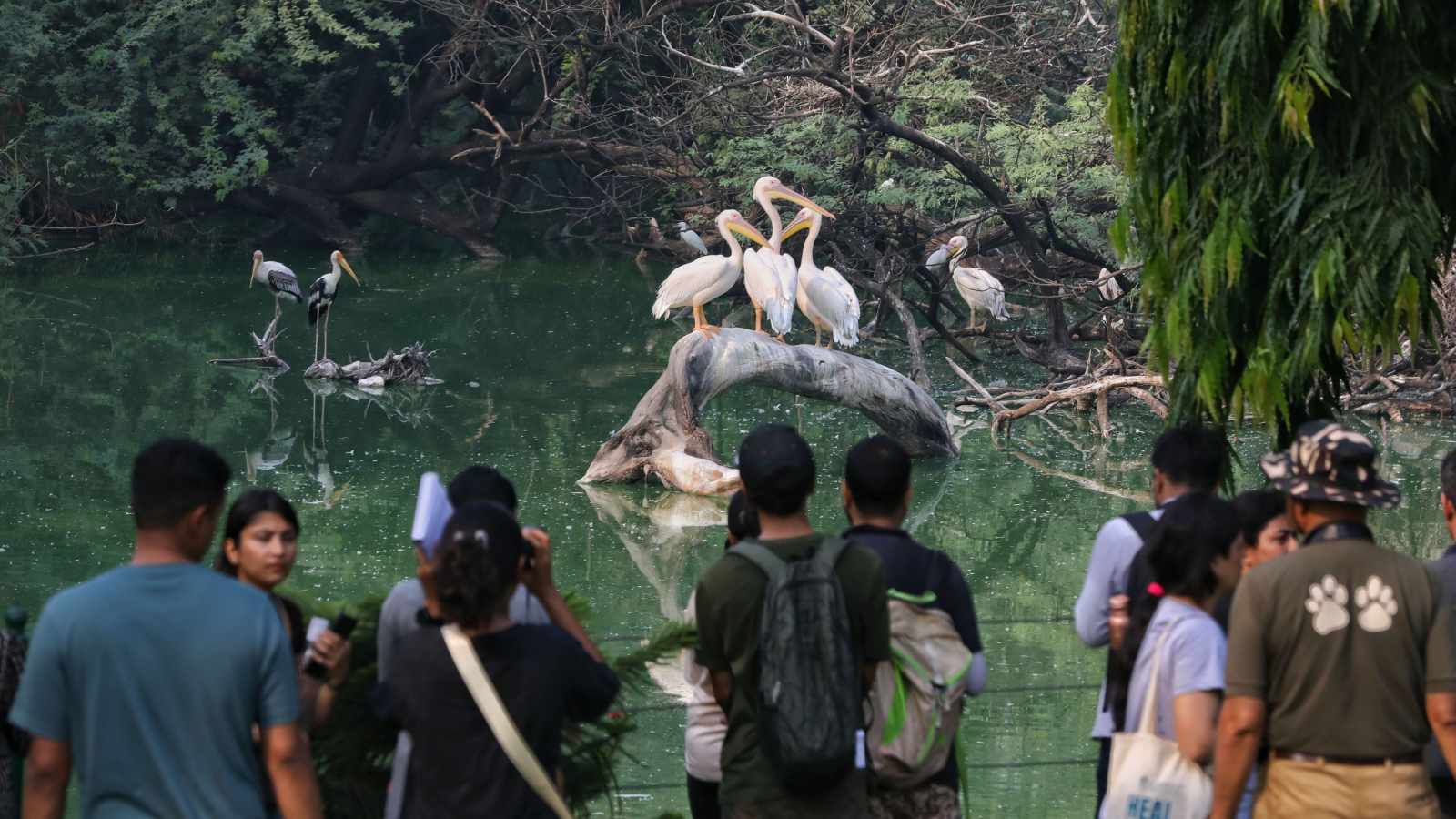 At the Delhi Zoo, curated Sunday morning walks to watch birds