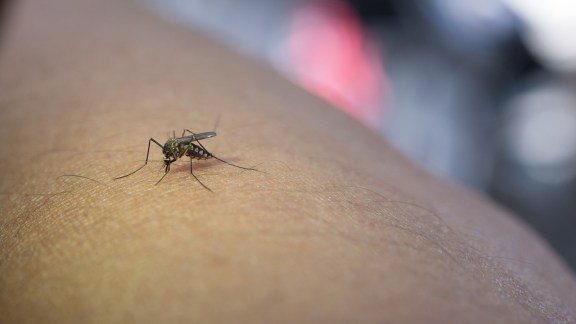 Dengue can also impact your heart