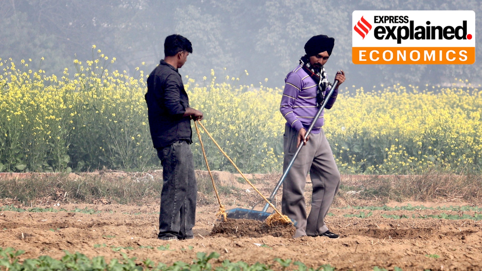 ‘Khet Bachao Abhiyan’: Why agriculture experts hopping from village to village?