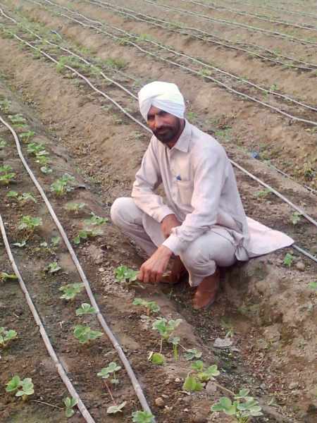 farmers