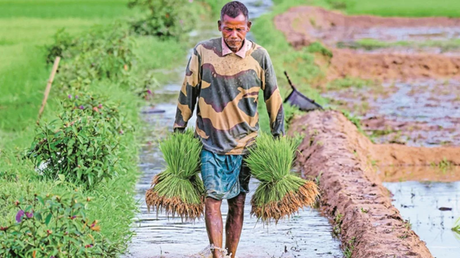 Maharashtra CM Fadnavis announces Rs 2 lakh waiver for Mahatma Phule scheme farmers