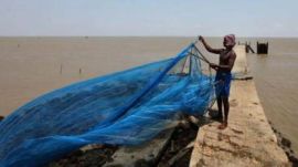 A fisherman with a net along the Palk Strait, the centre of the India–Sri Lanka fishing dispute. (Express File)