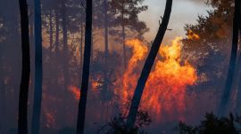 Flames rip through a forest near Bordeaux, France, as firefighters battle fast-moving wildfires fuelled by extreme heat and strong winds. (Source: AP)