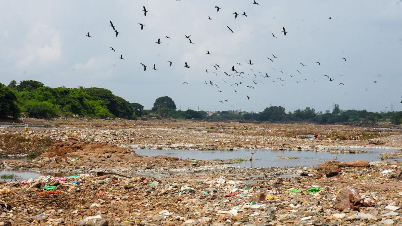 Smoke, stench and a protest: How Pune students fought riverside garbage dumping