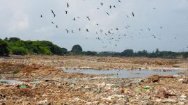 More than 50 per cent of the river near Loni Kalbhor was covered with tonnes of garbage.