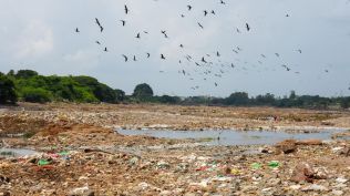 More than 50 per cent of the river near Loni Kalbhor was covered with tonnes of garbage.