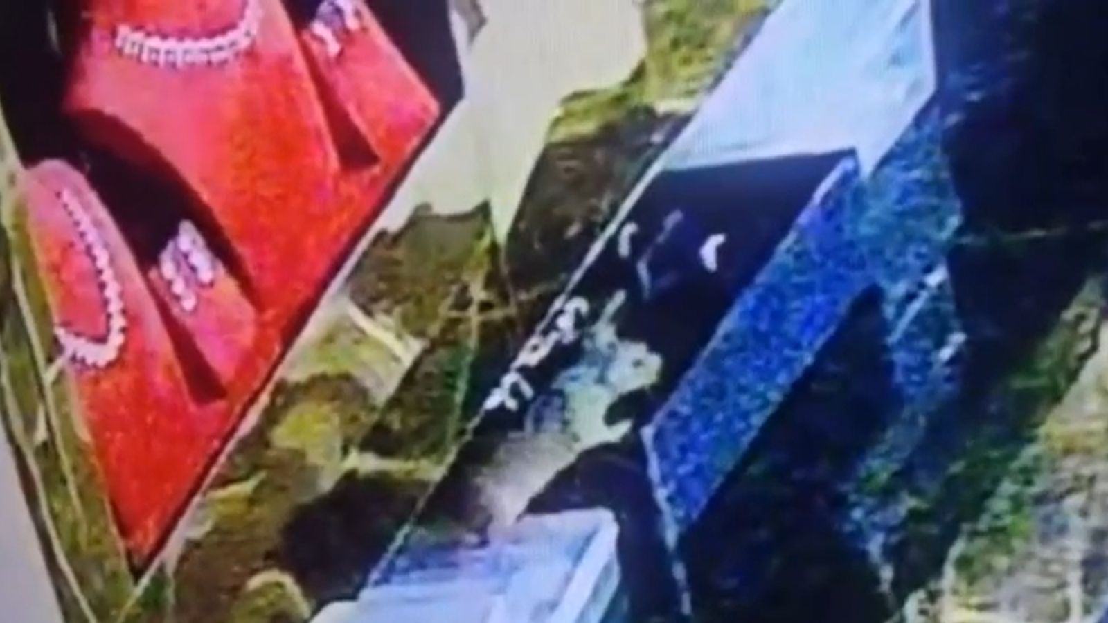 CCTV video: Rats stole gold rings, chains in bizarre Karnataka heist