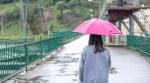 Tips for monsoon haircare