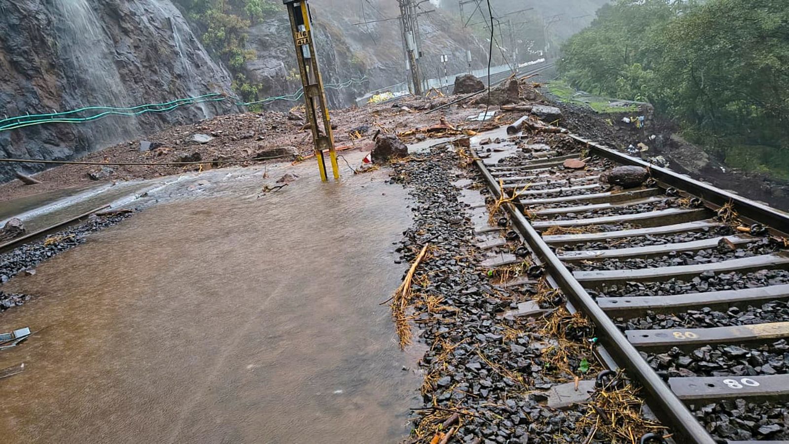 Mumbai rain update: Indian Railways cancels, diverts, short-terminates over 80 trains today; Full list