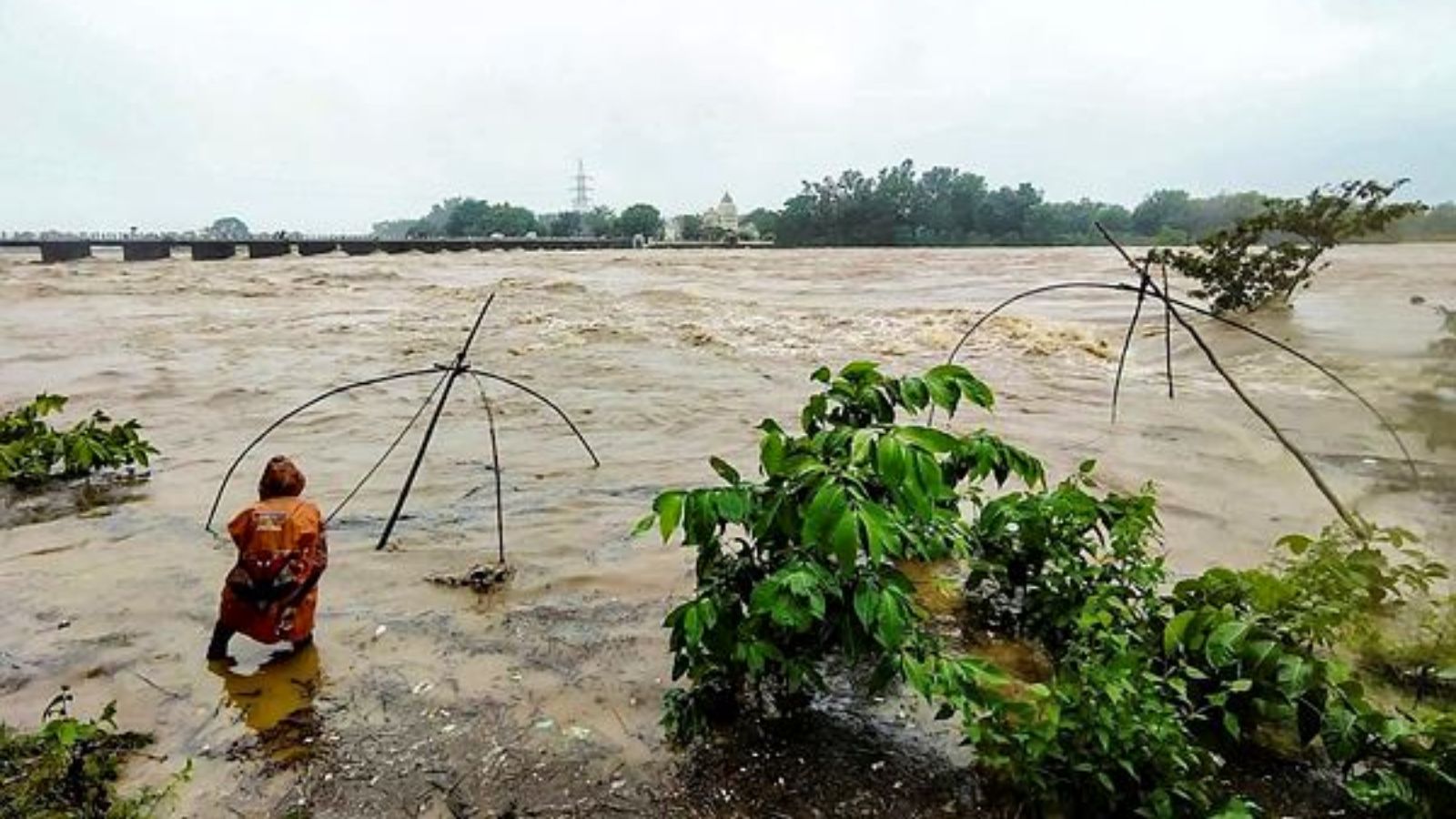 Three dead, over 2 lakh affected as heavy rain triggers floods in Odisha