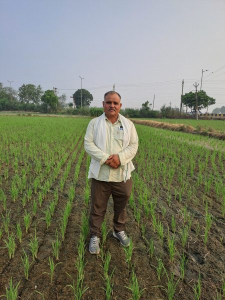 rice farmer