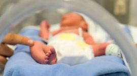 Researchers from IIT Bombay and the ICMR-National Institute for Research on Women's Health have developed a placenta-on-chip that closely mimics the human placenta.