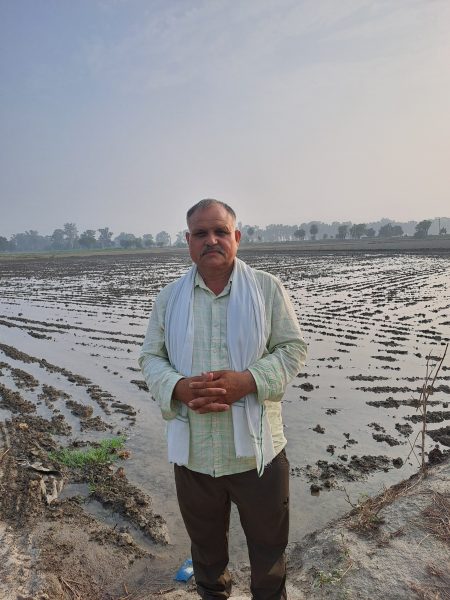 rice farmer awaiting puddling