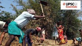 rural employment, India, non-farm work