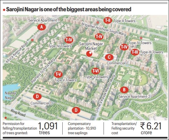 1,091 trees to be transplanted, felled: Forest dept nod clears way for Sarojini Nagar housing project