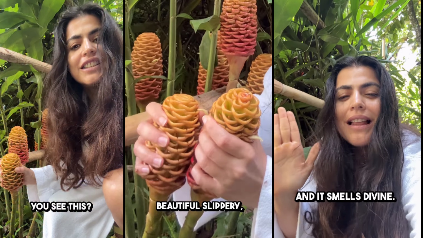 Natural Hair Care and Monsoon-Related Hair Fall: Expert Insights