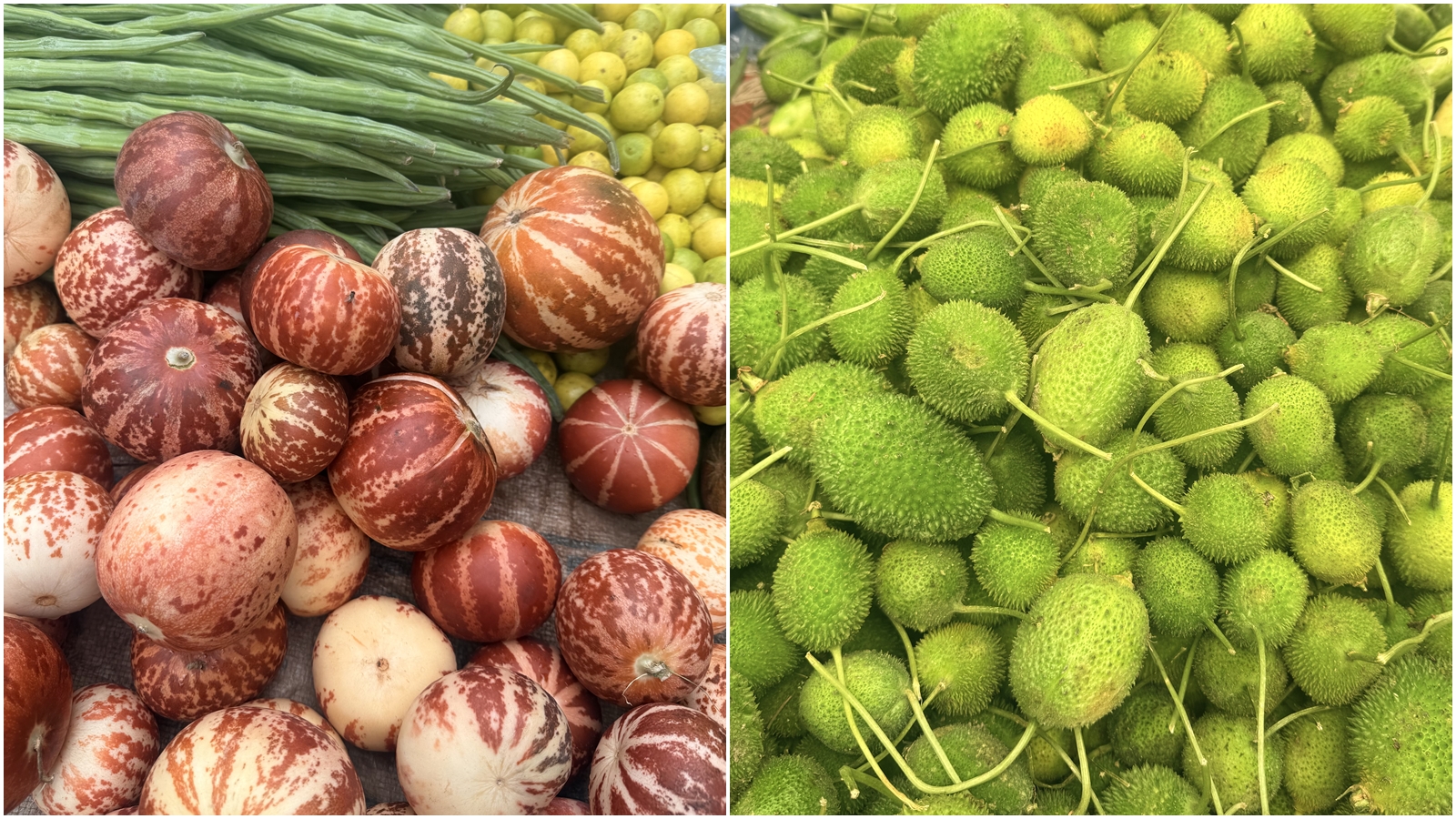 Indian Summer Fruits Go Viral: Discover the Trendy Picks