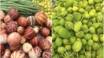 summer fruits, local indian fruits