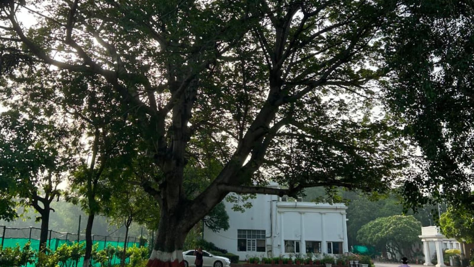 Delhi Gymkhana Club land dispute: 486 mature trees documented in Central Delhi's green lung