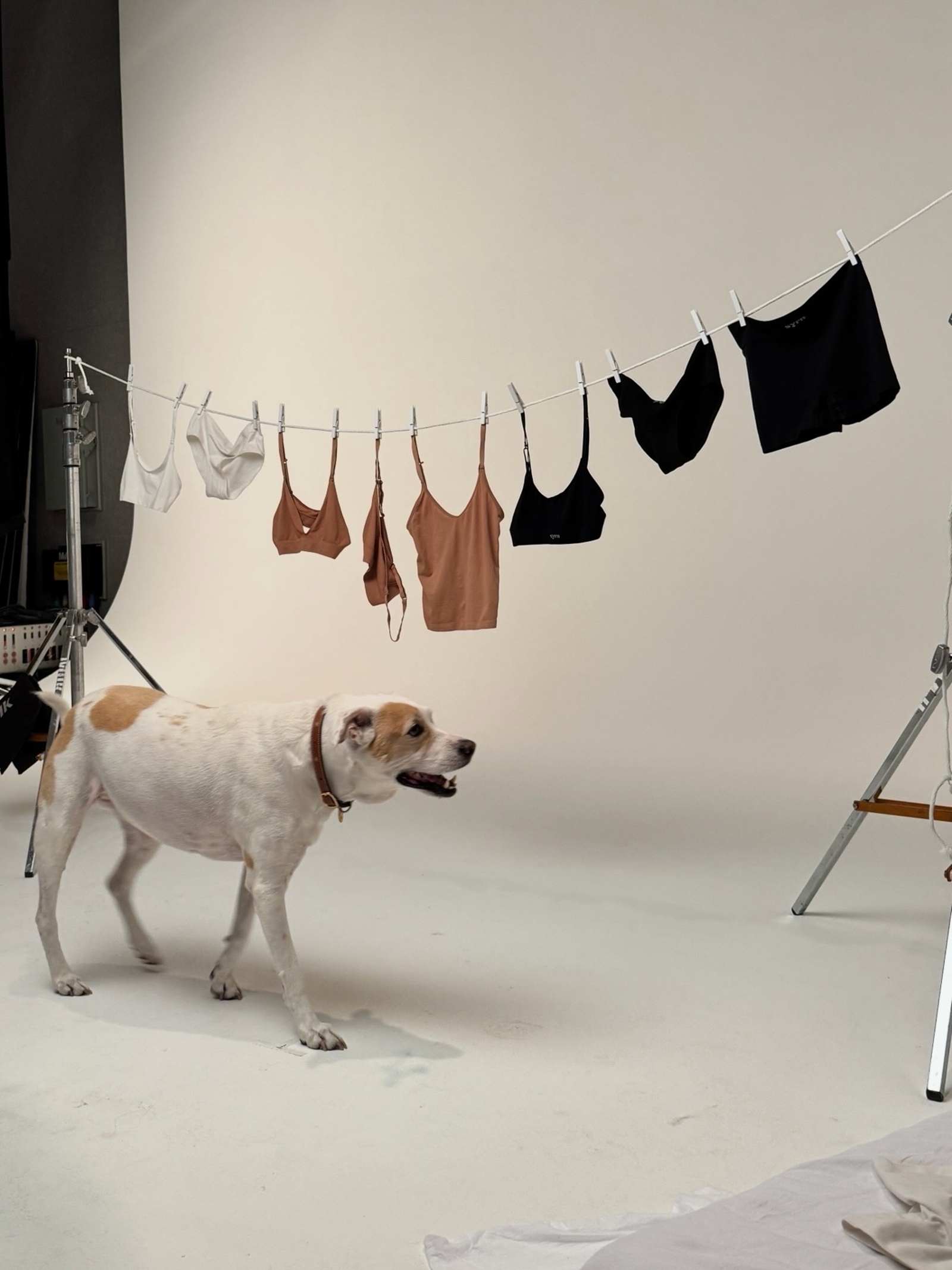 bra shopping