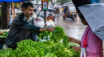 monsoon
