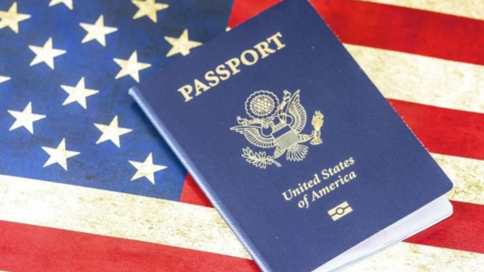 US visa fraud: Four ex-police chiefs plead guilty over fake U-Visas for foreigners