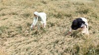 women-farmers_20260713103242.jpg wealth
