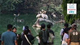 zoo