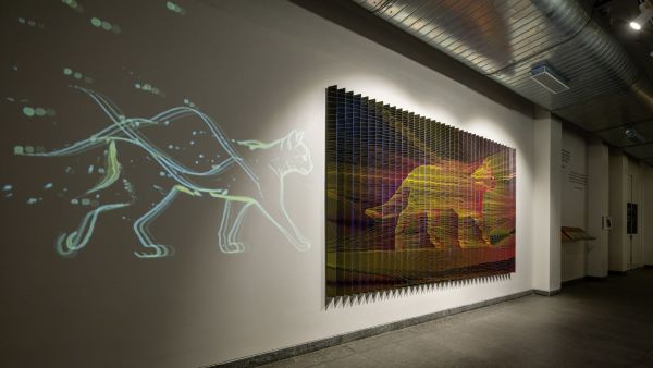 QUANTUM Bengaluru Science Gallery exhibit