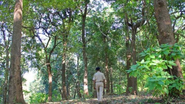 Karnataka Hanur forest 3 men killed shooting 