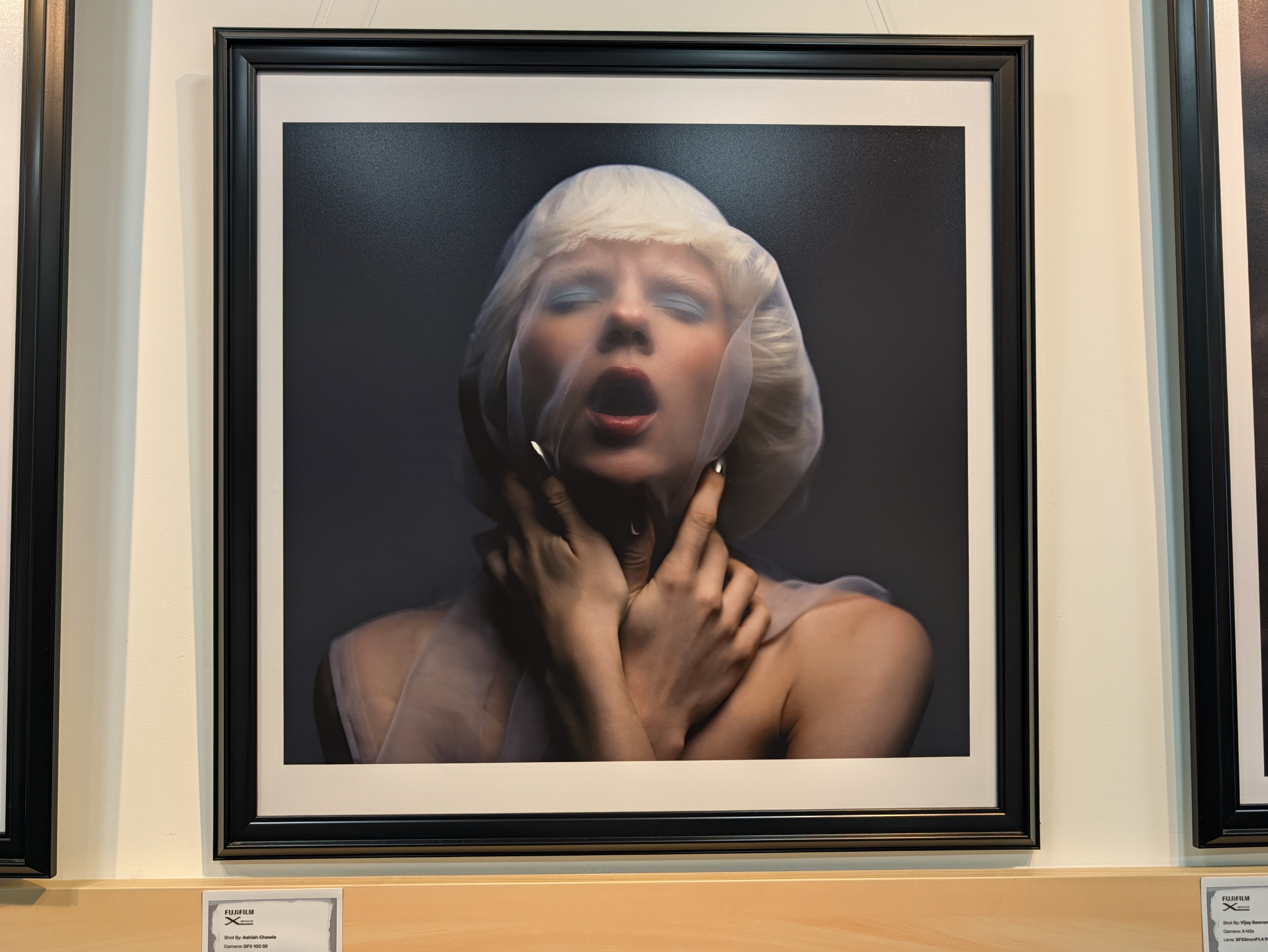 Google Pixel 11 and 11 Pro XL camera samples