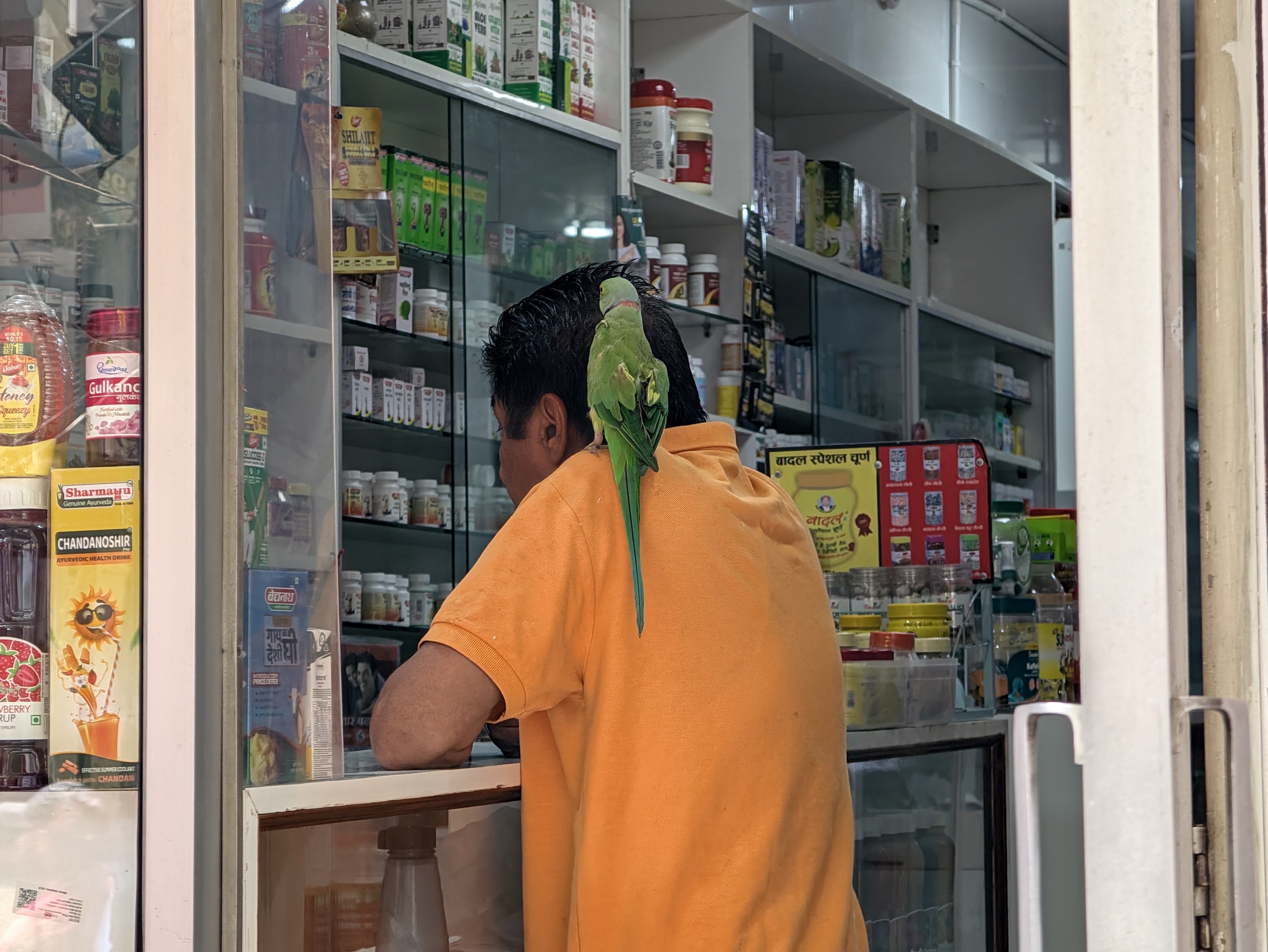 Google Pixel 11 and 11 Pro XL camera samples