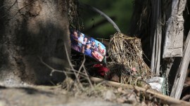 A photograph of a family lies amid the debris as search operations intensified. Tashi Tobgyal Nepal floods | ‘Chances of survival look slim’: 67 from Maharashtra still untraceable