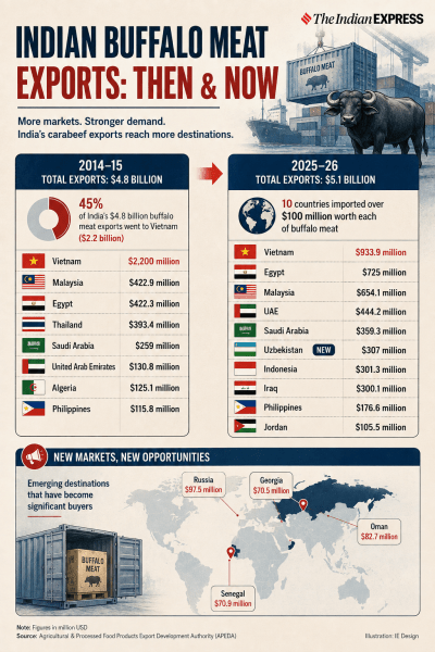 AI generated infographic for buffalo meat story