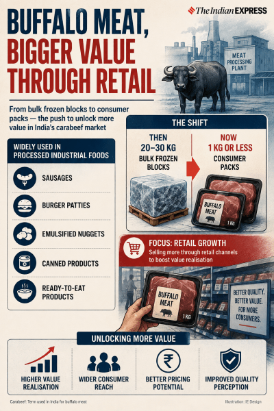 AI-generated infographic for buffalo meat story