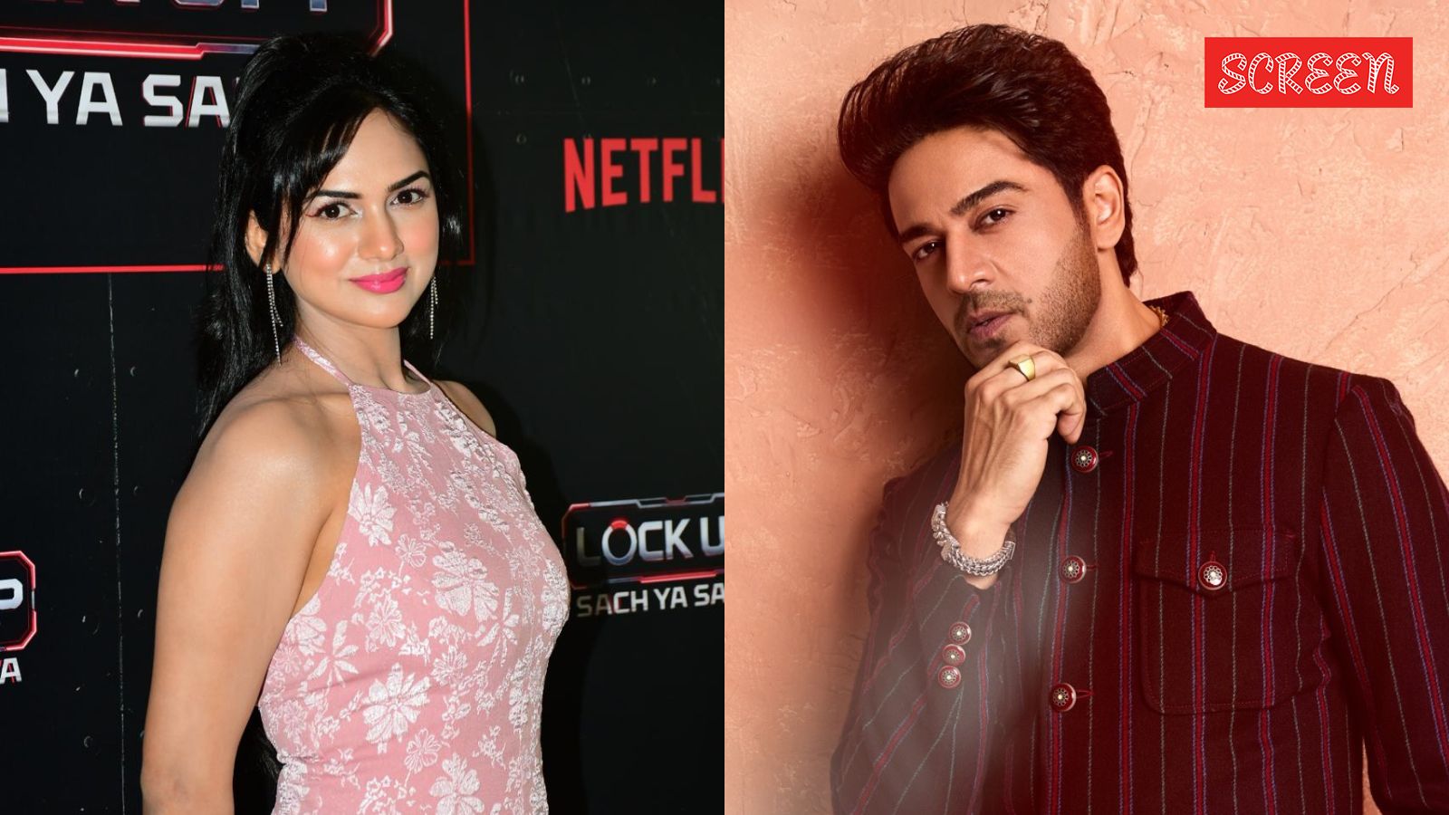 Did Akanksha Chamola cash in on Gaurav Khanna's popularity in Lock Upp? 'Our divorce is final'