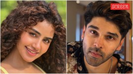 Amid Anupama's revelations about a toxic past relationship, an old interview of hers with rumoured ex-boyfriend Dhruv Vikram has resurfaced.