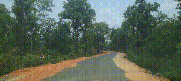 bro road