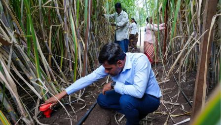 Baramati AI farming