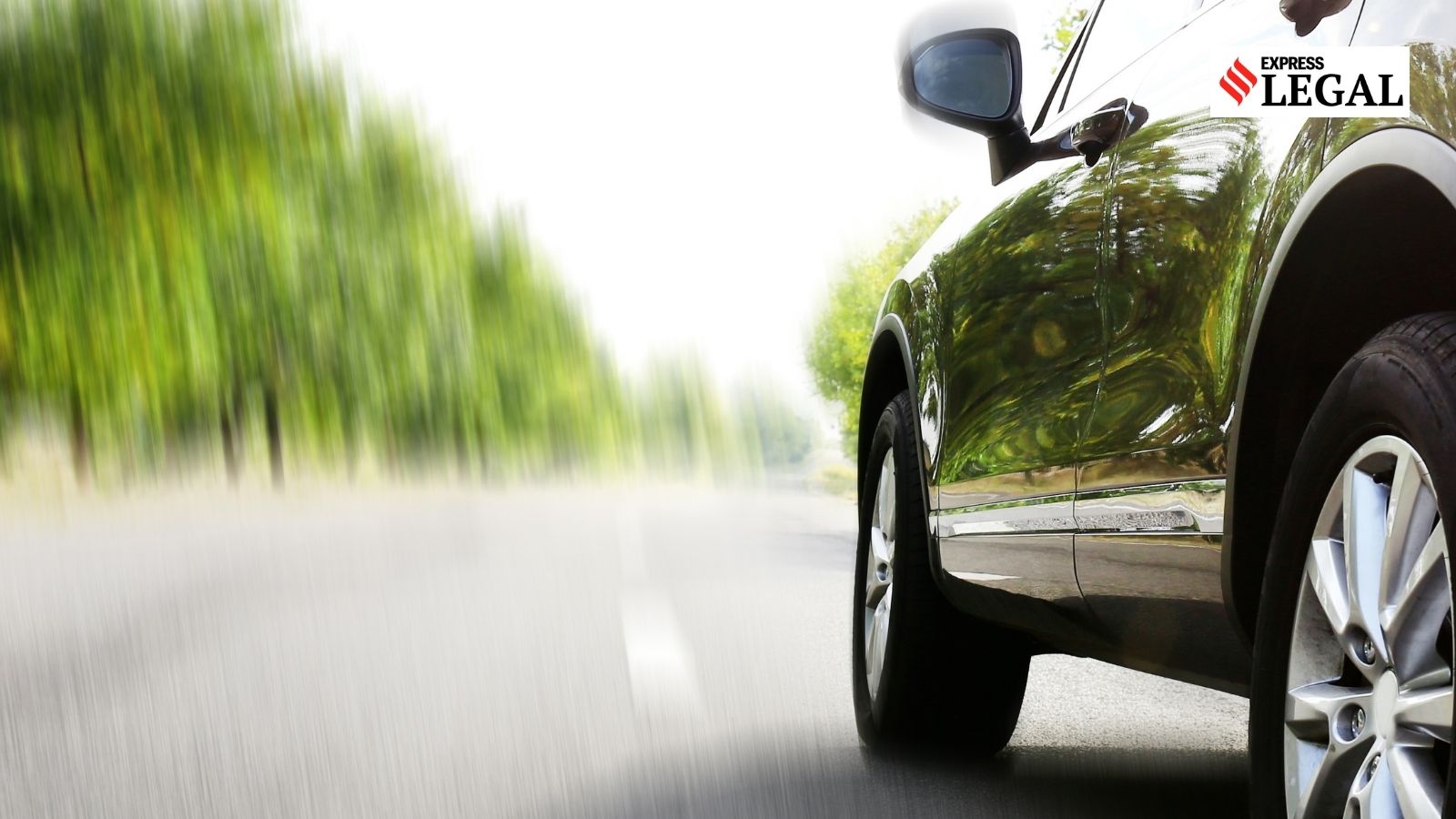Car 'damaged' trying to avoid stray dog, man wins Rs 2.3 lakh from insurance firm, repair shop