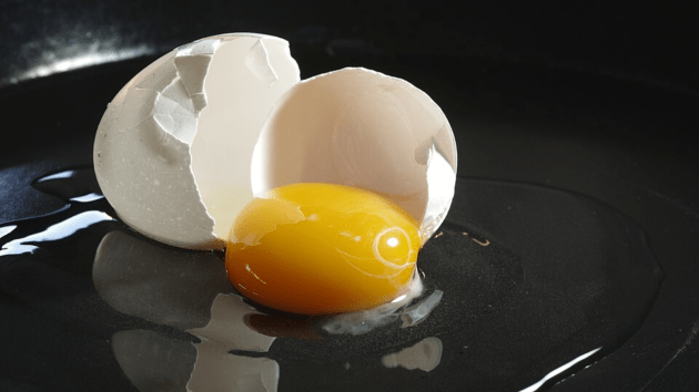 eggs