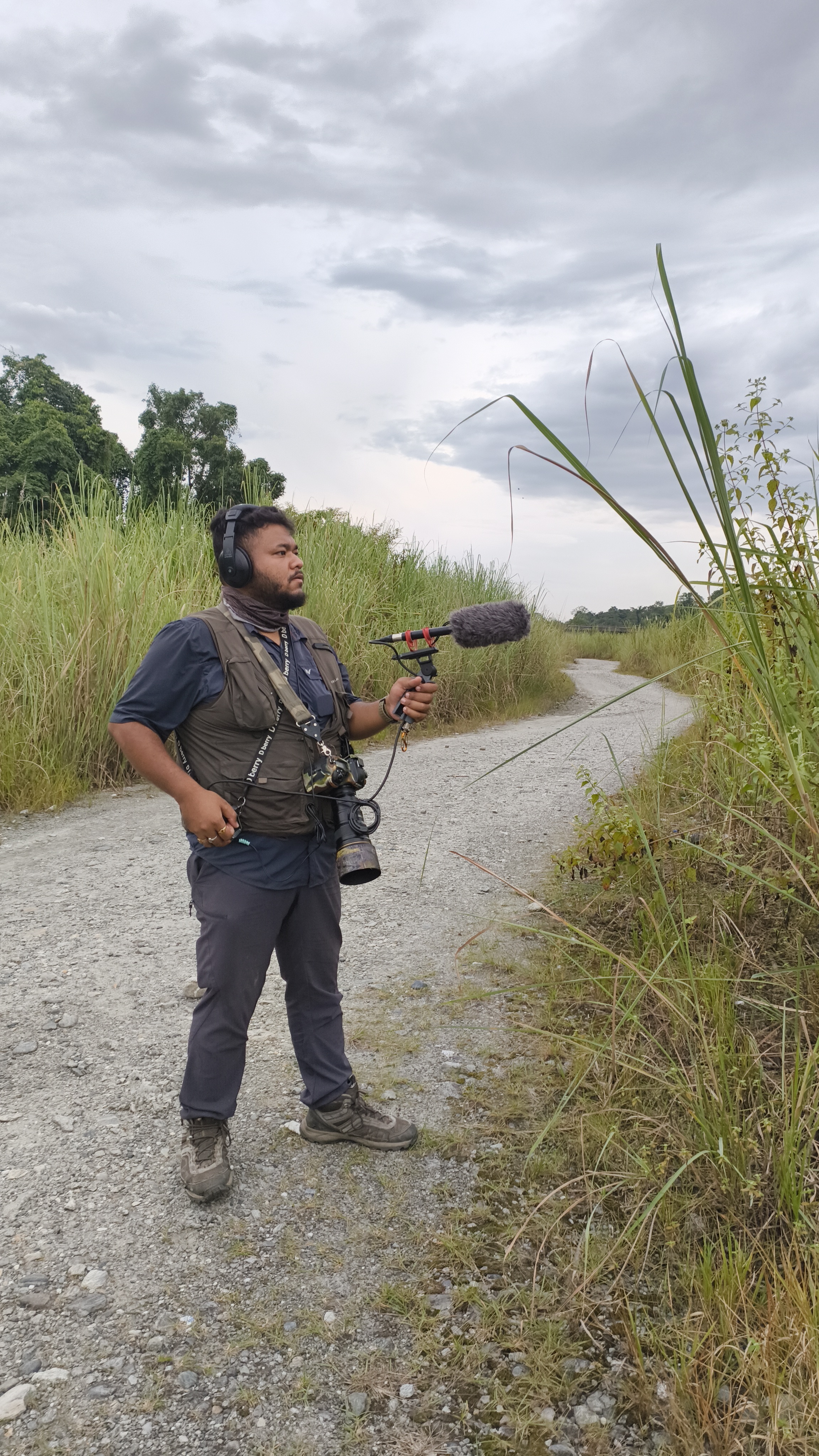 Birdcall, insect flutter: Experts capture sounds of forest — and their meaning