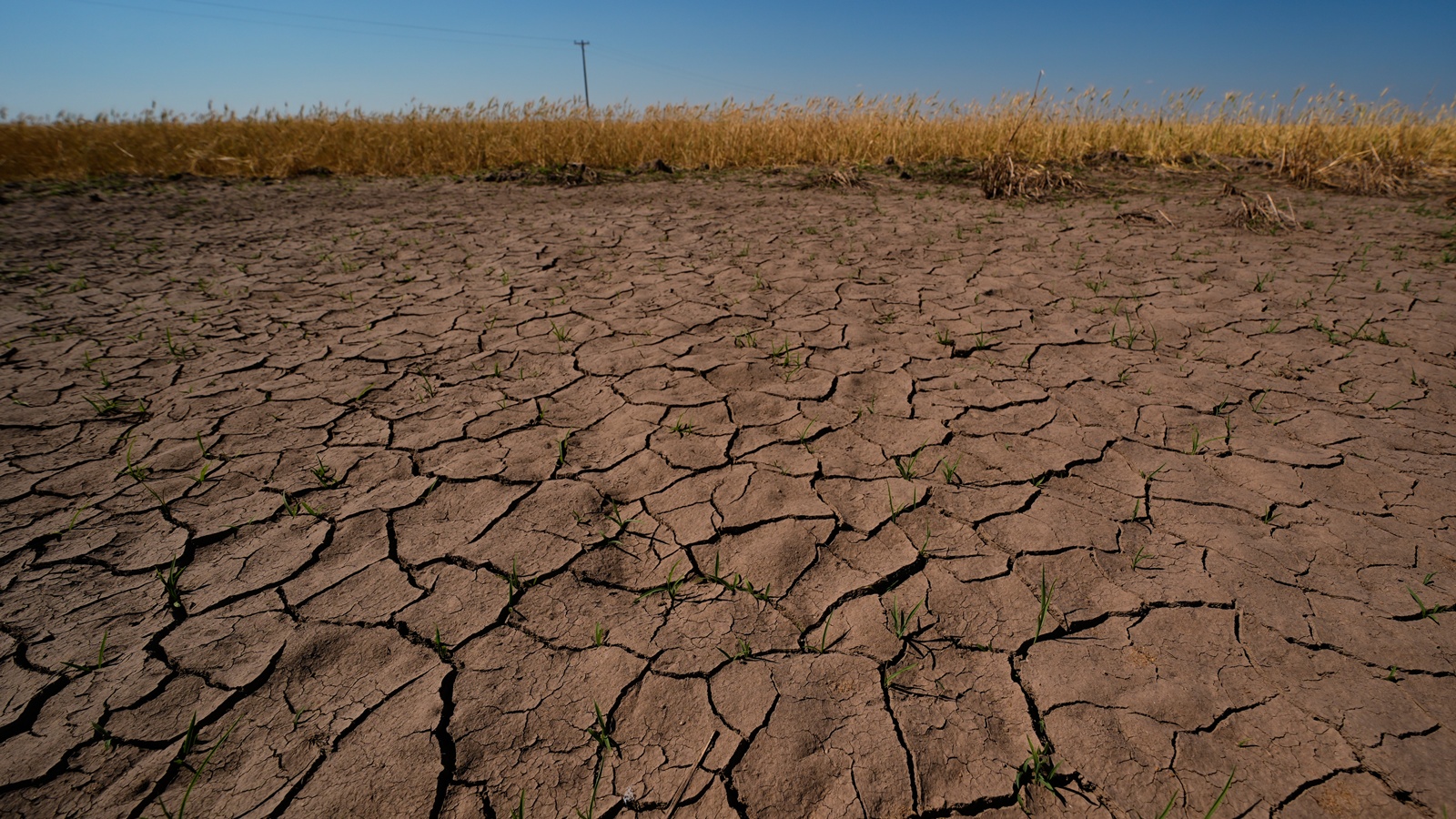 UK Met Office Predicts Strongest El Nino in Century, Raising Global Temperatures