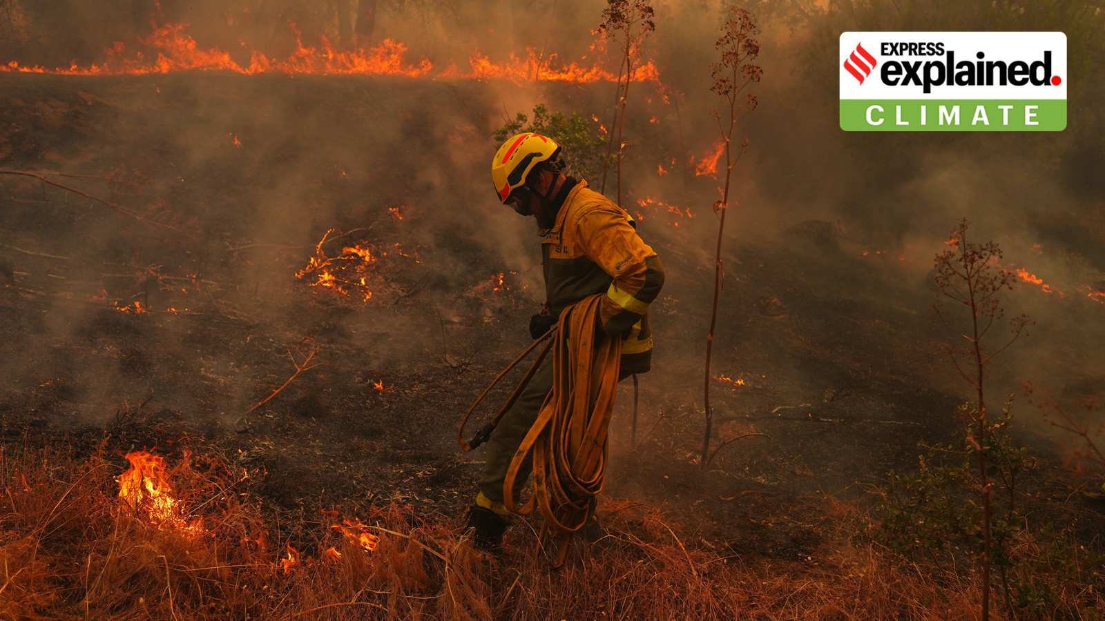 Why Europe's Wildfires are Becoming More Intense and Unstoppable