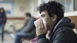 H1N1